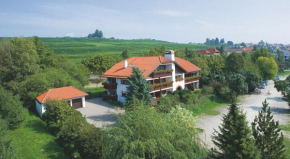 Hotel Alpina